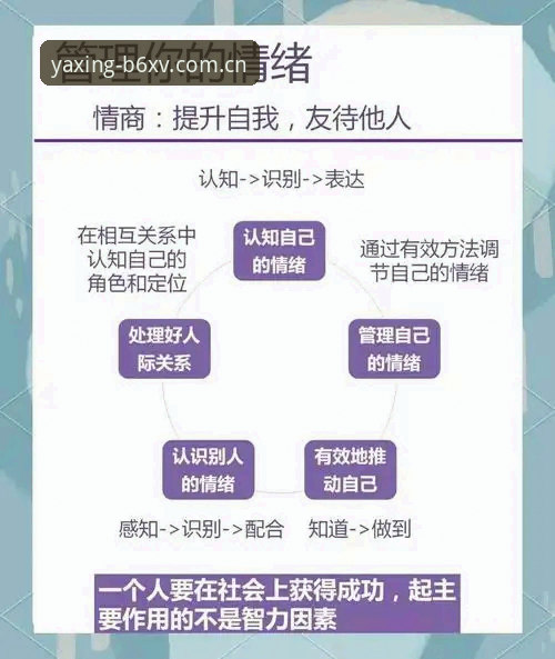 裁判马宁的“反情绪决策”操作指南——从管泽元播客看专业人格的养成